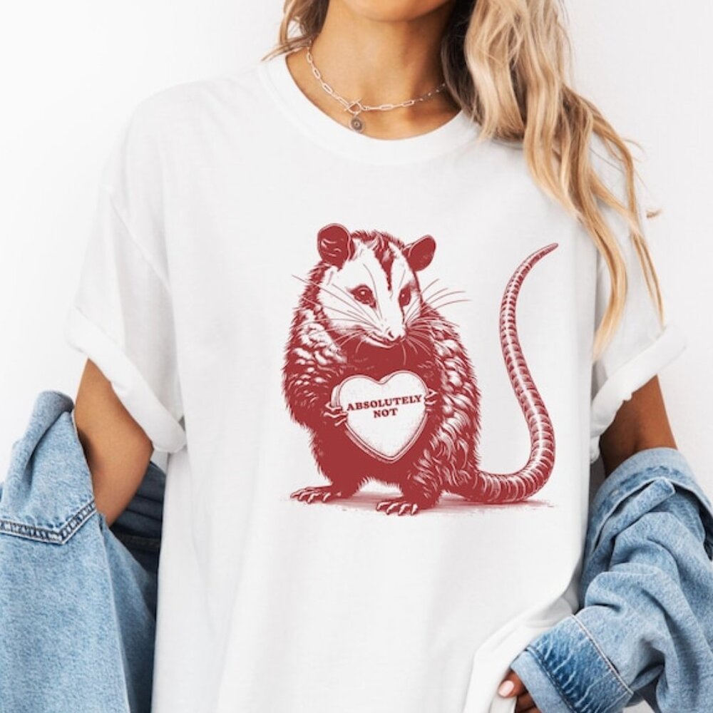 Valentines Tshirt Funny Valentine Shirt Absolutely Not Tee